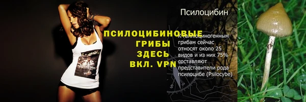 сатива Балабаново